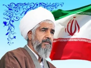 عده ای به خاطر رسیدن به اهداف خود از امام راحل مایه می گذارند