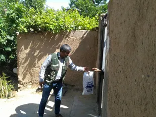 از سم پاشی دام و آغل ها تا توزیع بسته های پروتئینی در بیارجمند+ تصاویر