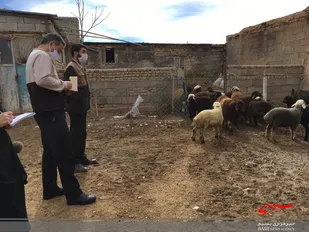 یک&zwnj;هزار دام در رزمایش گروه جهادی بسیج خمین پایش شد