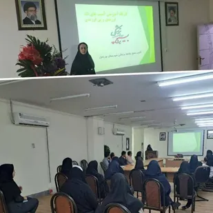 برگزاری  کارگاه آموزشی طرح نفس و آسیب های تک فرزندی در شهرستان چرداول