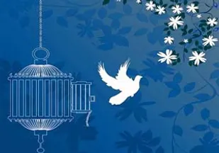 جشنی که 28 زندانی را از بند آزاد کرد