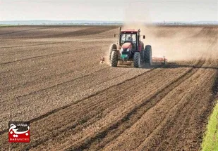 انجام تمهیدات لازم برای اجرای کشت پاییزه در خوزستان