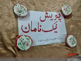 پویش تقدیر از نیک نامان پایگاه حضرت زینب(س)