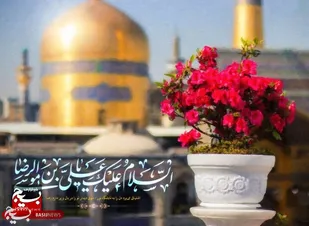 امام رضا(ع) نرمش قهرمانانه در برابر حکومت طاغوت داشت