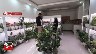 بهشت کوچک یک بانوی کارآفرین گلخانه دار شوشتری