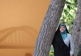 خانم ابتکار دیپلماسی خود را خرج محیط&zwnj;زیست کند نه سیاسی بازی