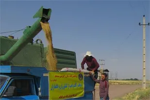 زکات هر منطقه در همان منطقه هزینه می شود