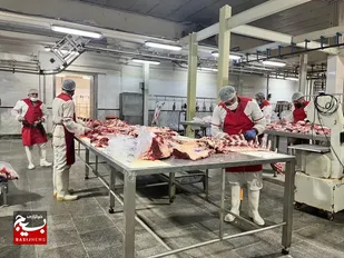 ۹ کشتارگاه صنعتی در سیستان و بلوچستان فعال است