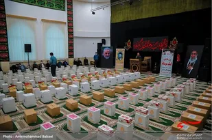نهضت مومنانه کارمندان بسیجی مازندران به روایت تصویر