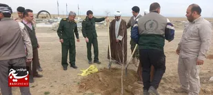 جریان&zwnj;سازی برای آینده&zwnj;ای سبز و ماندگار با کاشت نهال در صالح آباد