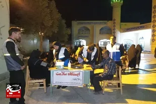 سنجش سلامت عزاداران حسینی در هامون