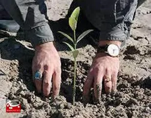 به مناسبت دهه مقاومت در هر پایگاه 63 نهال غرس خواهد شد