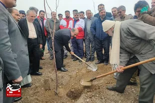 کاشت ۵۰۰ اصله نهال مثمر در ملایر