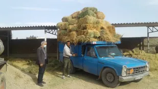 اهدا علوفه در راستای نذر طبیعت توسط نهاد امامت جمعه شاهرود