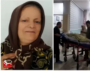 بانوی ۶۱ ساله اردبیلی نجات بخش جان همنوعانش شد