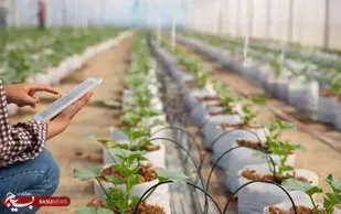 اجرای سیستم آبیاری هوشمند مزارع، گلخانه ها و باغات در کارگروه نخبگان جامعه کشاورزی کازرون