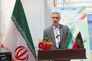 لزوم افزایش اراضی کشت گلخانه&zwnj;ای به بیش از ۱۰۰۰ هکتار در استان همدان