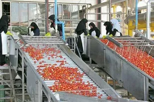 ضرورت شفاف&zwnj;سازی و رفع موازی&zwnj;کاری در صدور مجوز&zwnj;های صنایع تبدیلی خوزستان