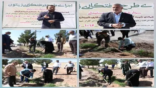 کاشت ۱۰۱۶ درخت به تعداد شهدای گلزار شهدای کرمان