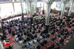 مراسم عزاداری امام رضا (ع) در شاهرود به روایت تصویر