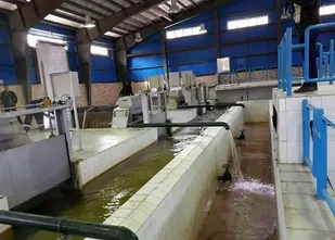 روش های غلط در تصفیه آب شهر سنندج انجام می شود