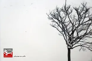 برف، اردبیل را نقاشی کرد