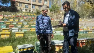 ممنوعيت کوچ زنبورداران استان آذربايجان شرقي از ۷ تا ۱۹ مهرماه