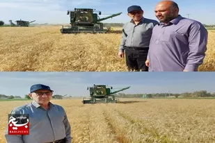 آغاز پرداخت مطالبات گندمکاران سیستان و بلوچستان
