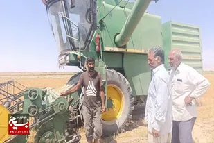 برداشت موفق غلات در سرخه