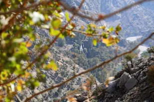 جنگلبانان خوزستان؛ حافظان بی&zwnj;ادعای میراث زاگرس
