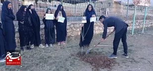 غرس۶۳ نهال درخت در روستای دوله سیب