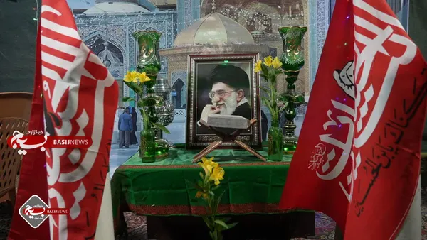عکس ها 