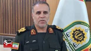 کشف ۴۴ تن فرآورده جنگلی قاچاق در اردبیل