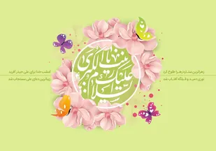 مساجد زنجان، میزبان جشن های میلاد حضرت زینب کبری(س)