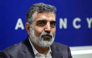 کشف عوامل خرابکاری در &laquo;نطنز&raquo;/ نمی&zwnj;توانیم جزئیات را بگوئیم