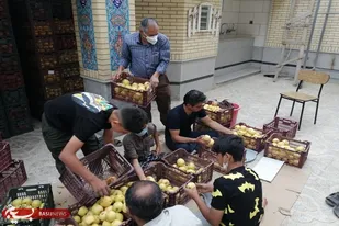 توزیع ۲۰ تن مرکبات بین ۲۵۰۰ خانواده نیازمند شهر شیراز