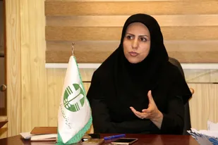 حتی یک وجب از محدوده پناهگاه شیرکوه واگذار نشده است