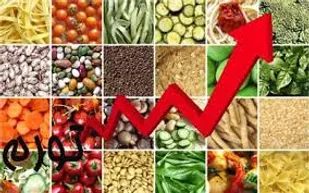 دولت ابزار زیادی برای مهار گرانی دارد/ مهار گرانی جزو حقوق عامه است