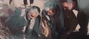 نماهنگ /همراهی عاشقانه دو یار قدیمی