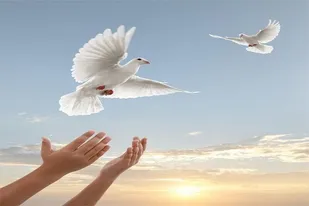 ۳۹۵ زندانی جرایم غیر عمد در آذربایجان&zwnj;شرقی با کمک خیران آزاد شدند