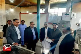 مشوق&zwnj;های جدید برای بهبود فضای کسب و کار سیستان و بلوچستان در نظر گرفته شد