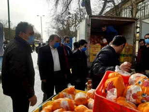کشتار روزانه ۲۰۰ تن مرغ گرم برای توزیع در استان همدان