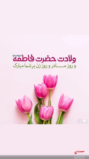 برای تبیین فرهنگ فاطمی باید تلاش شود