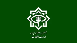 انهدام ۴ شبکه خرابکاری خیابانی در سیرجان