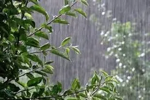 ثبت ۲۰.۳ میلیمتر بارش ۴۸ ساعته در لرستان