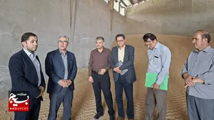 خرید تضمینی ۸ هزار تُن گندم در مشکین&zwnj;شهر