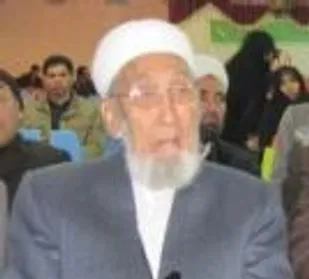 اعدام شیخ نمر اقدامی وحشیانه بود