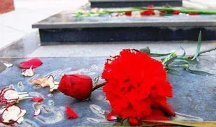 معرفی شهیدی از دیار نخل و آفتاب