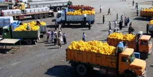 صادرات محصولات کشاورزی از مرز مهران  ۶۸ درصد رشد داشت