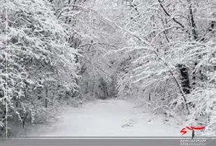 سرمای ۲۳ درجه زیر صفر در اردبیل